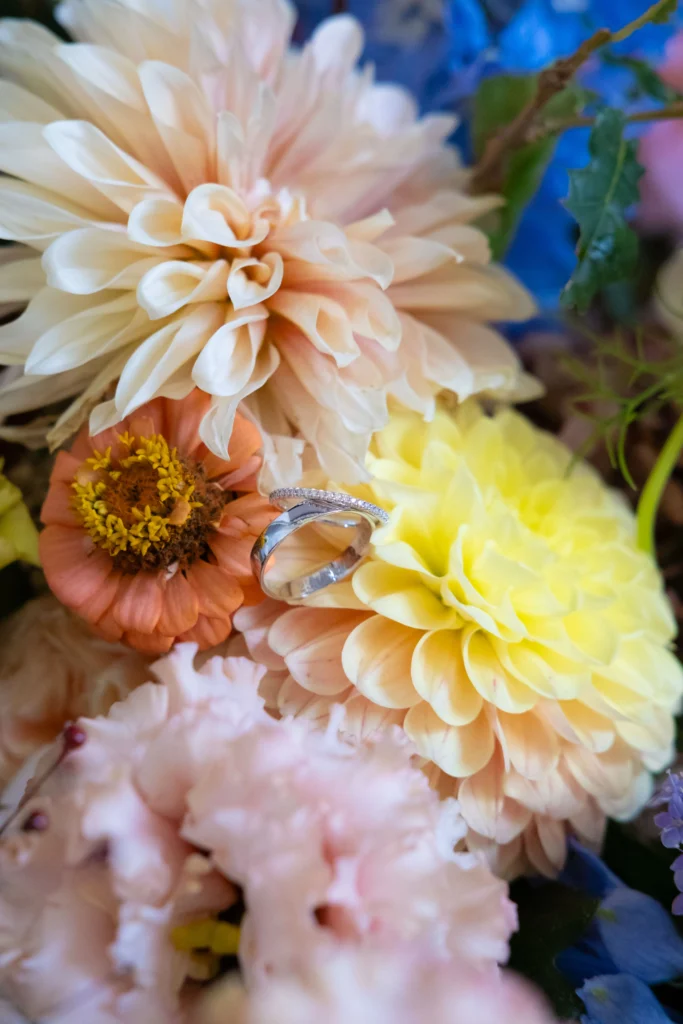 Photographe mariage Toulon