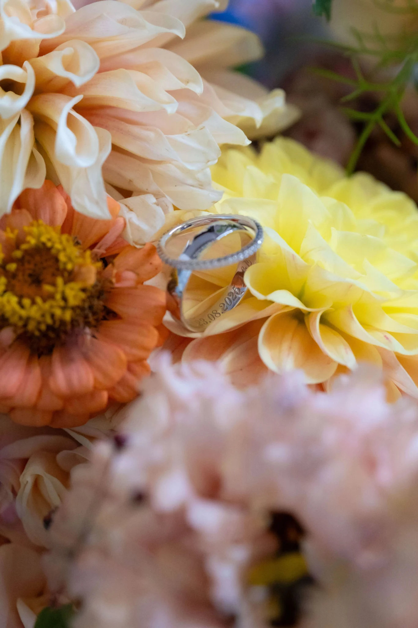 Alliances d'un mariage en Provence pour s'unir dans le Luberon
